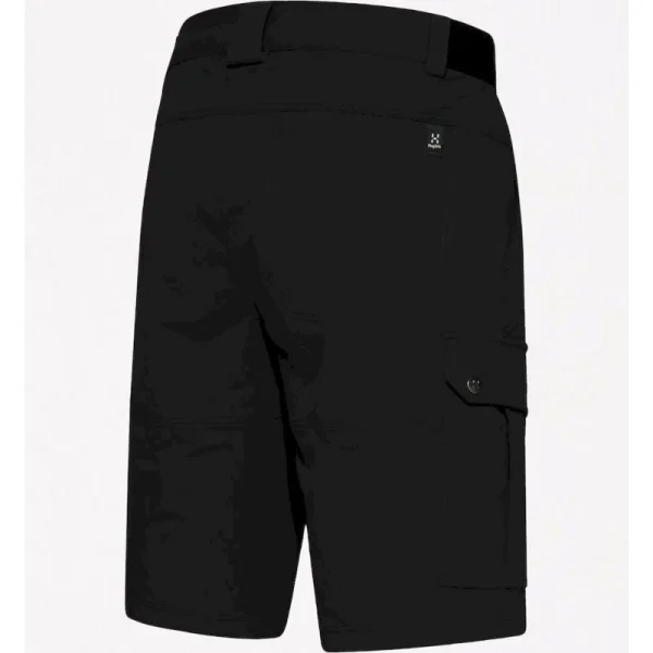 garantis authentique Meilleure affaire 🧨 Haglöfs Rugged Standard Shorts – Short randonnée homme 👏 3