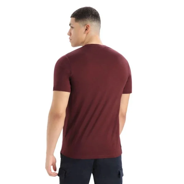 Promo 👍 Icebreaker Tech Lite II SS Tee Mountain Geology – T-shirt en laine mérinos homme ⌛ grossiste en ligne 3
