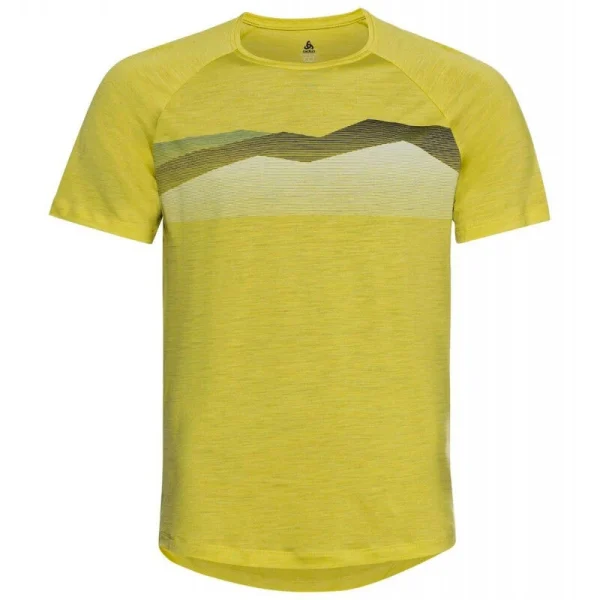 Budget ✨ Odlo Concord Seasonal Print – T-shirt homme 👏 Prestation Et Rapide 4