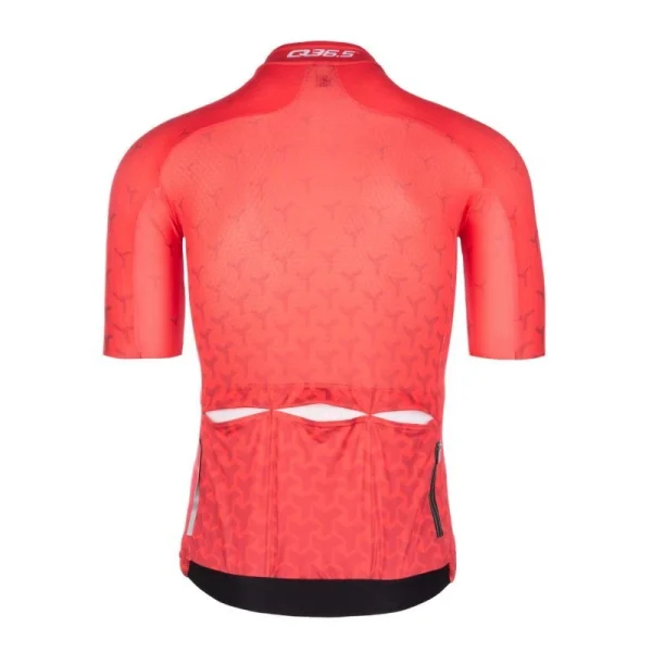 grande popularité Top 10 😍 Q36.5 Jersey Short Sleeve R2 Y – Maillot vélo homme ✨ 3
