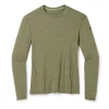 soldes en ligne Offres 👏 Smartwool Merino 250 Baselayer Crew Boxed – Maillot homme 💯 7